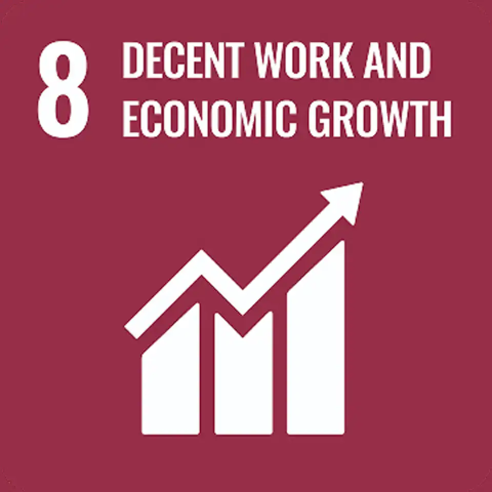 UN SDG 3 icon