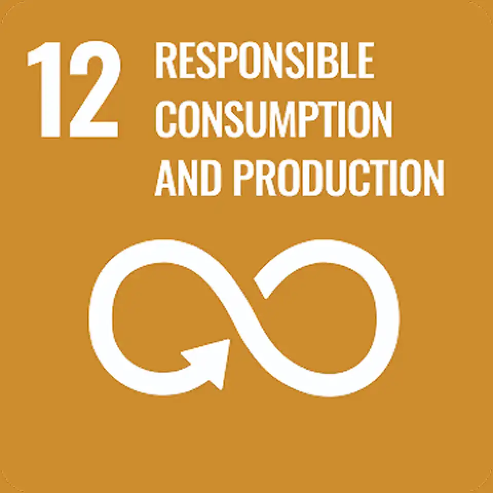 UN SDG 6 icon
