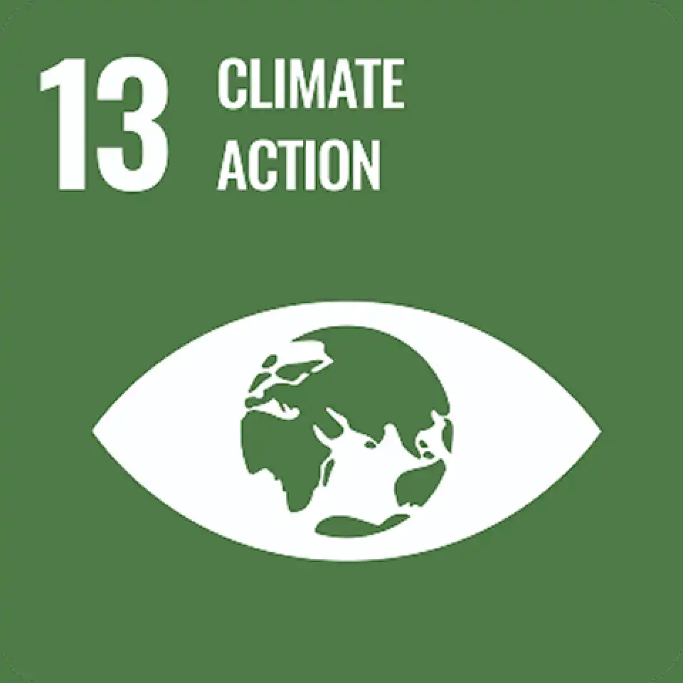 UN SDG 7 icon